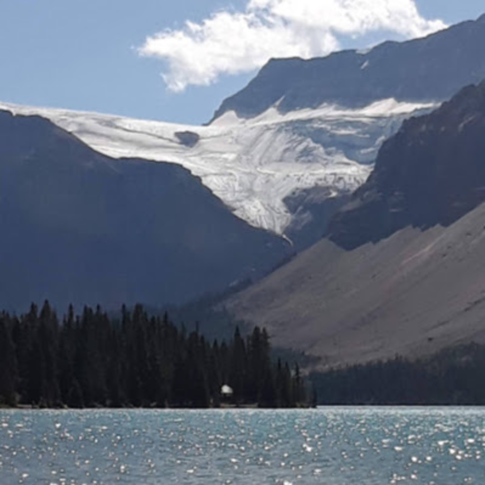 Meet your Posher, Harshita